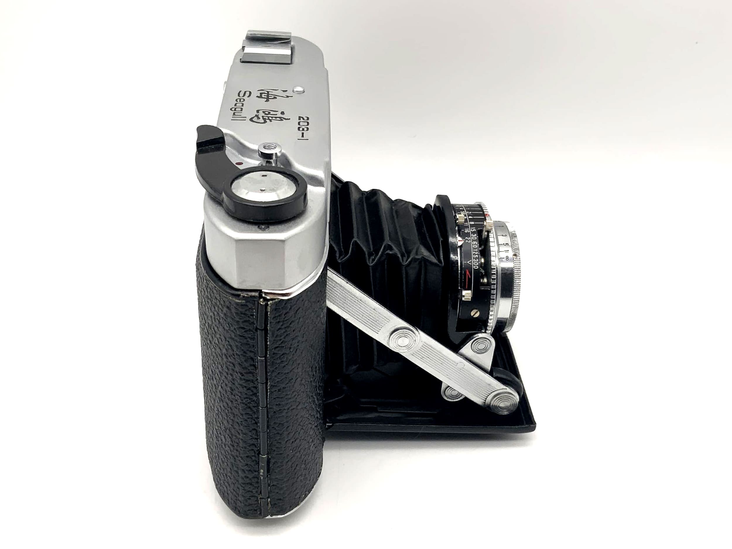 Appareil photo pliable Seagull 203-1 avec S-111-2 3,5/75