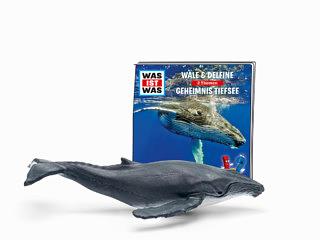 Figurines Tonie WHAT IS WHAT Baleines et dauphins / Figurine audio secrète des profondeurs marines pour Toniebox
