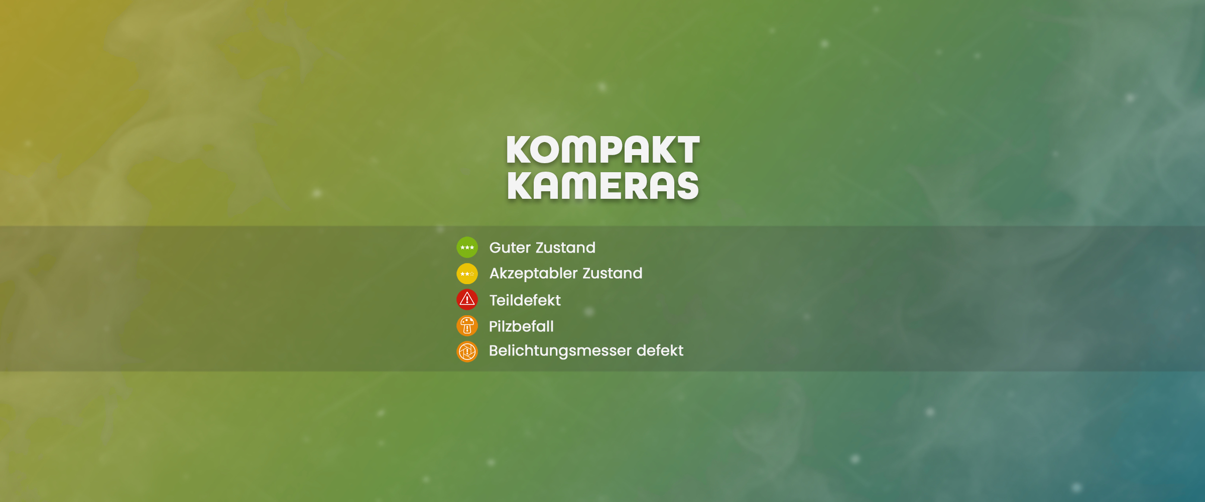 Digitale Kompaktkameras