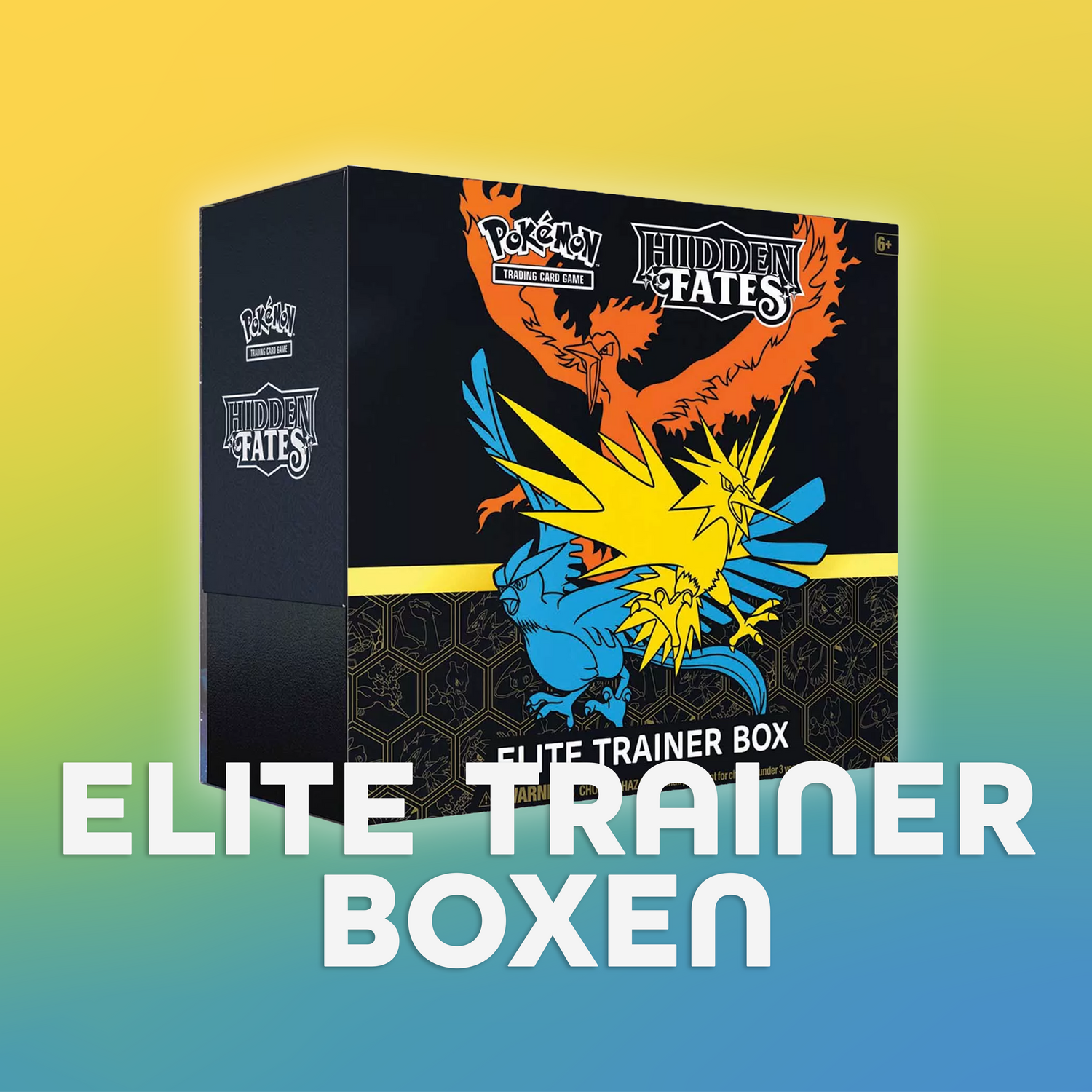 Elite Trainer Boxen