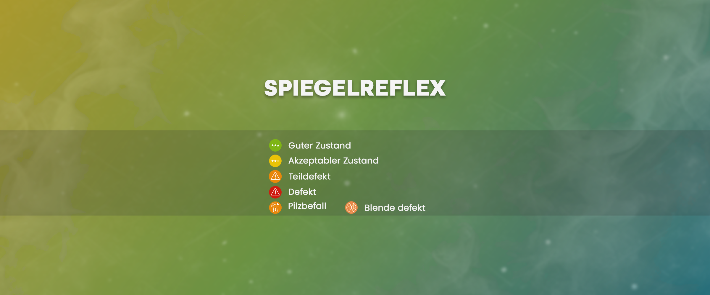 Spiegelreflex